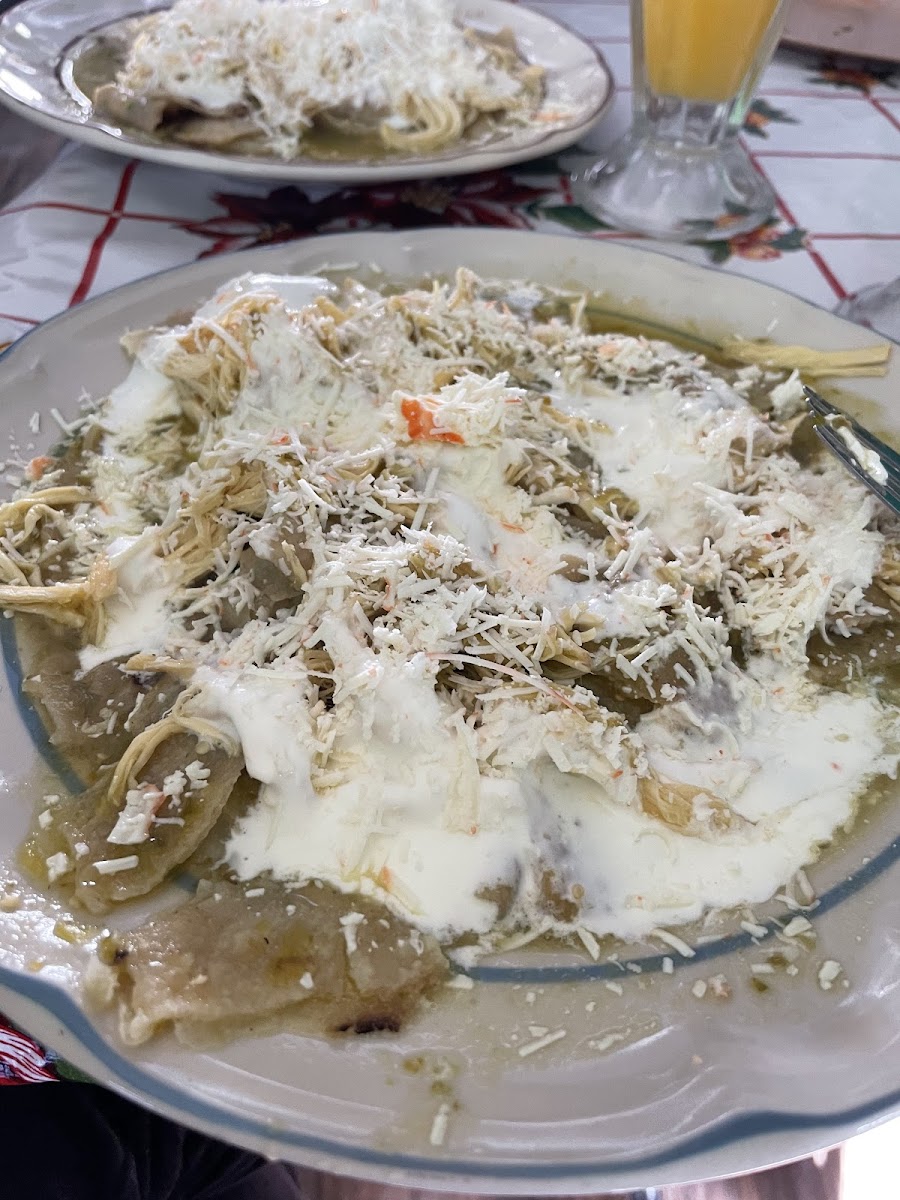 Antojitos Mexicanos Dona Concha Photos 2